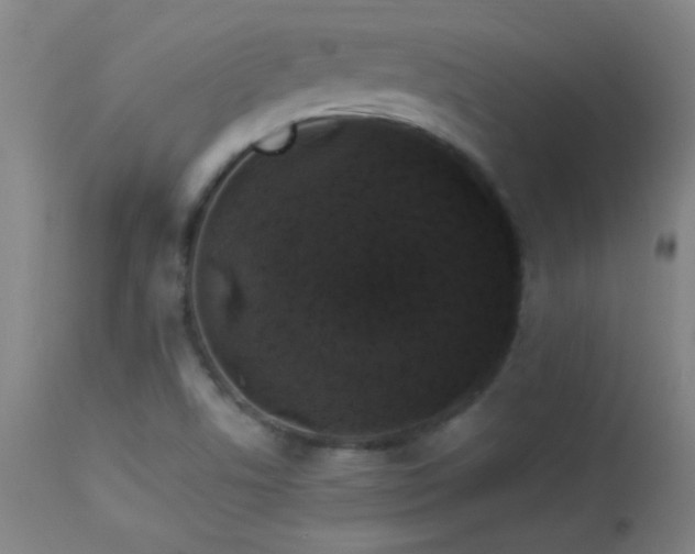 X0000114211506200910091312
