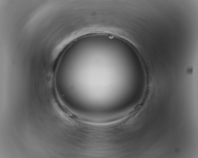 X0000114211507200910091312