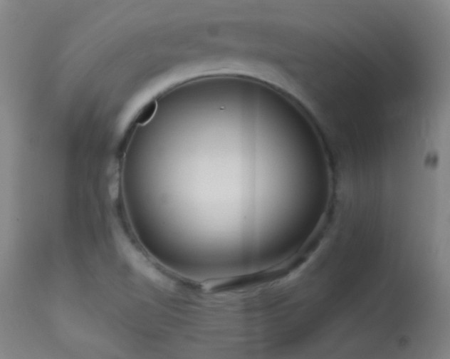 X0000114211510200910091312