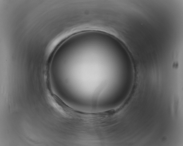 X0000114211511200910091312