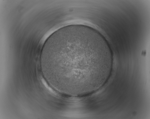 X0000114211513200910091312