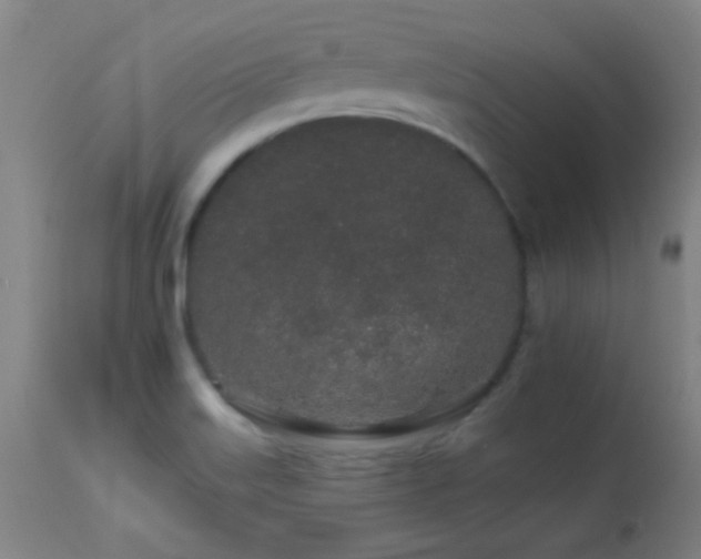 X0000114211515200910091312