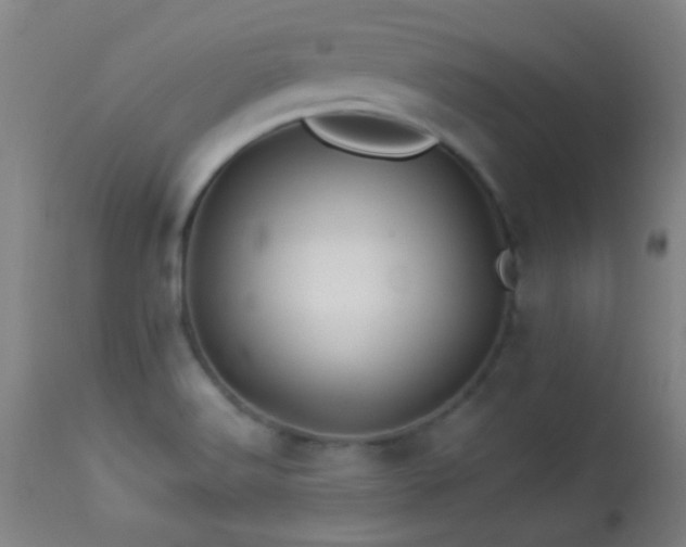 X0000114211516200910091312