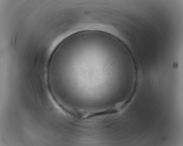 X0000114211517200910091312