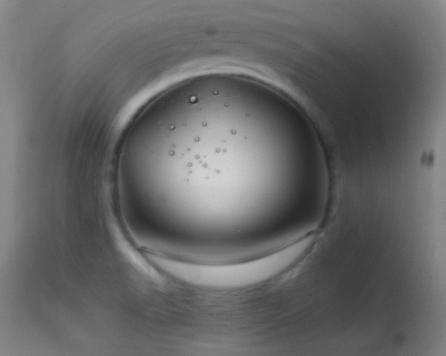 X0000114211518200910091312