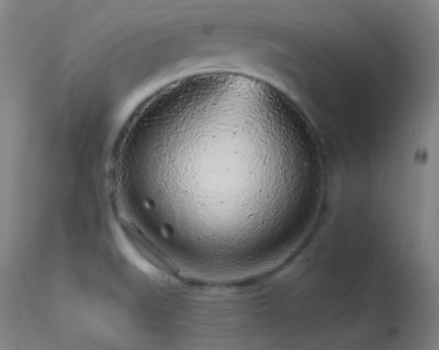 X0000114211519200910091312