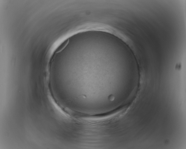 X0000114211520200910091312