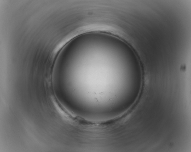 X0000114211521200910091312