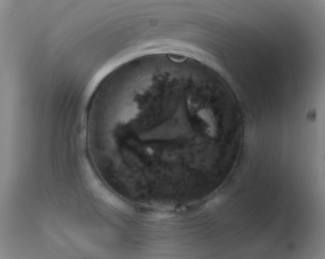 X0000114211522200910091312