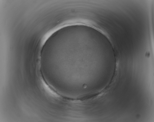 X0000114211524200910091312