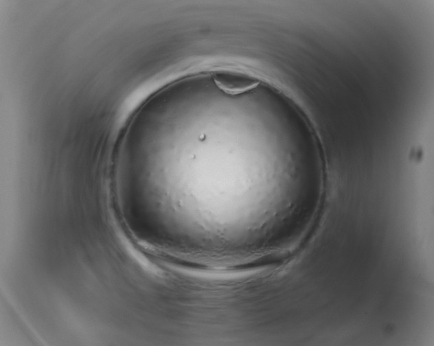 X0000114211525200910091312
