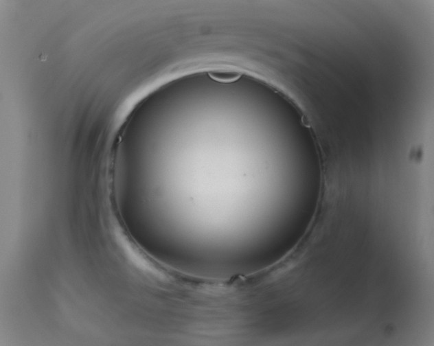 X0000114211526200910091312