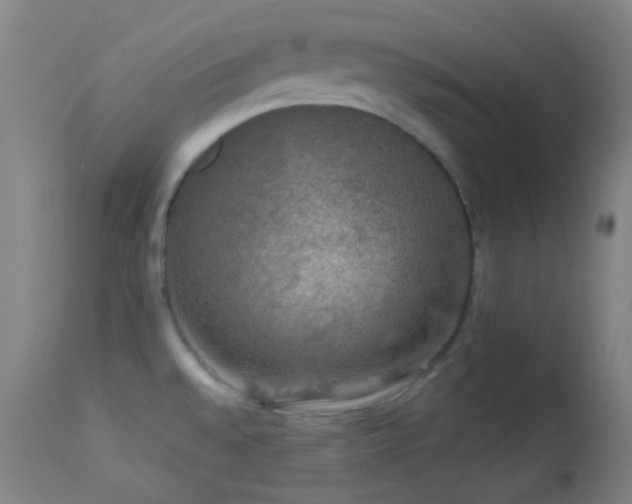 X0000114211528200910091312