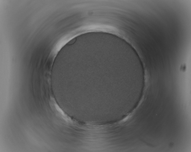 X0000114211529200910091312