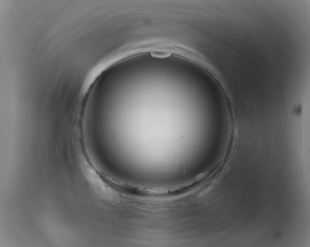 X0000114211530200910091312