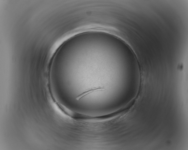 X0000114211531200910091312