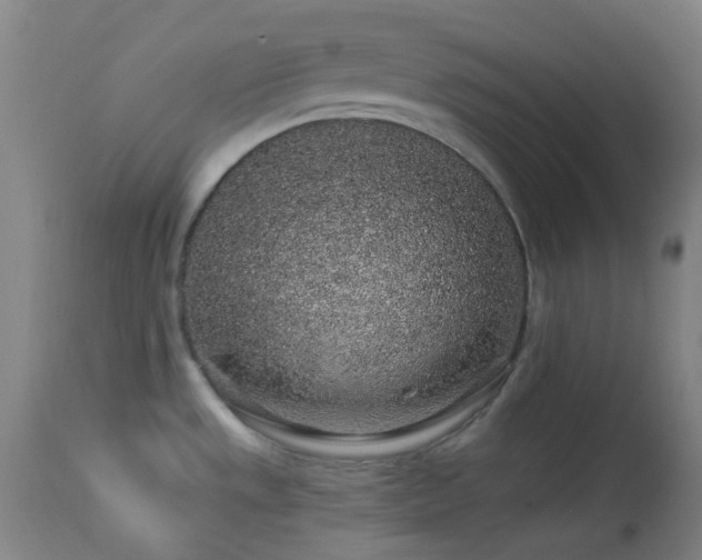 X0000114211533200910091312