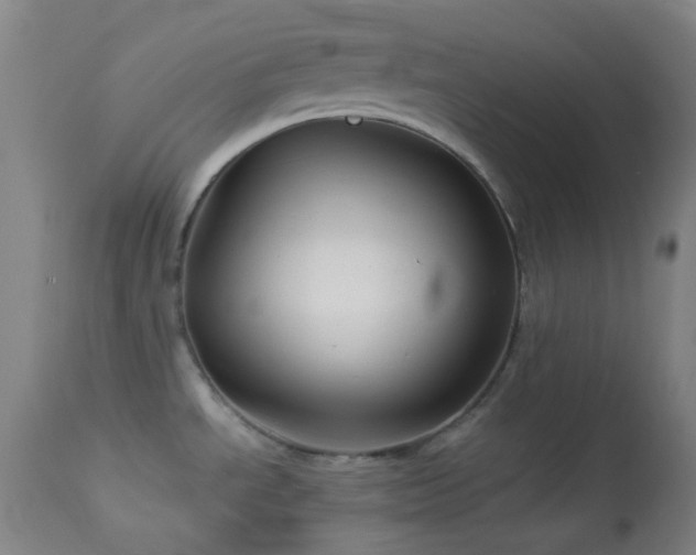 X0000114211534200910091312