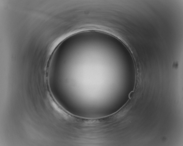 X0000114211535200910091312