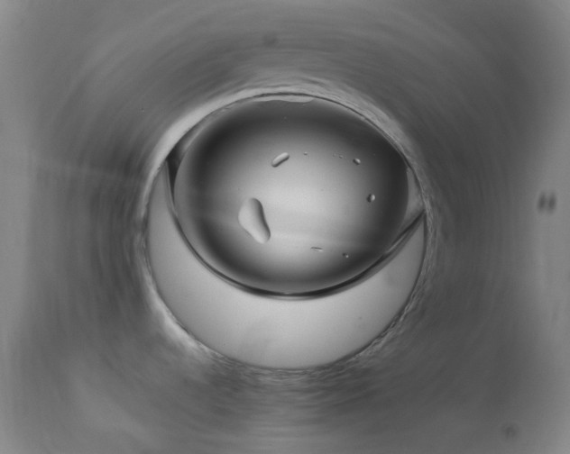 X0000114211536200910091312