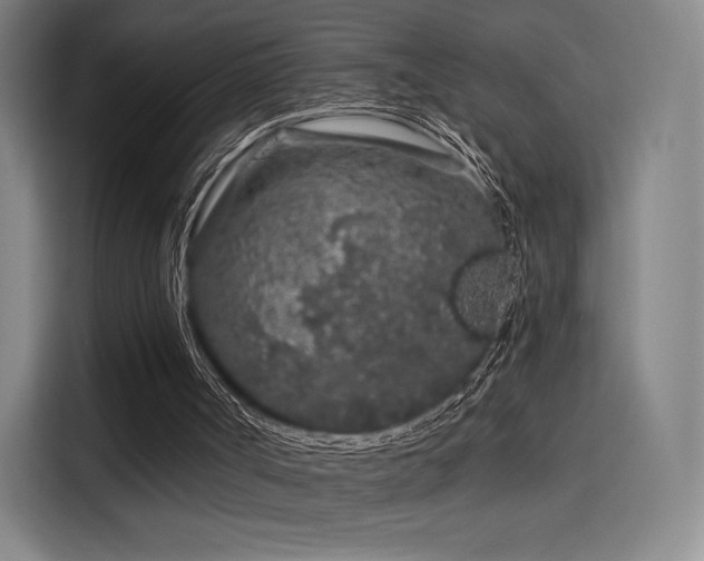 X0000114210002200910161257