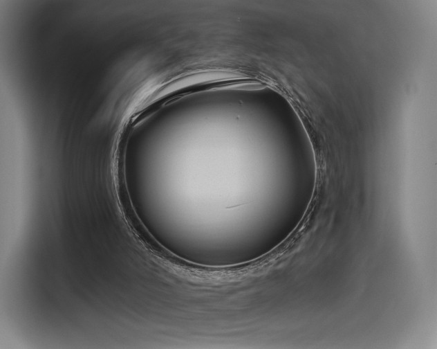 X0000114210006200910161257
