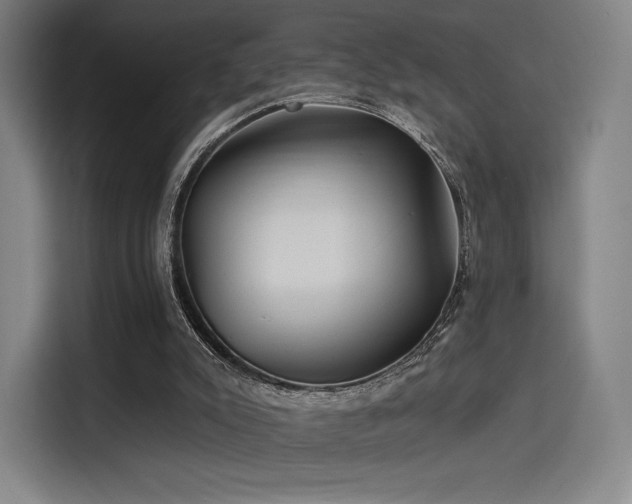X0000114210007200910161257