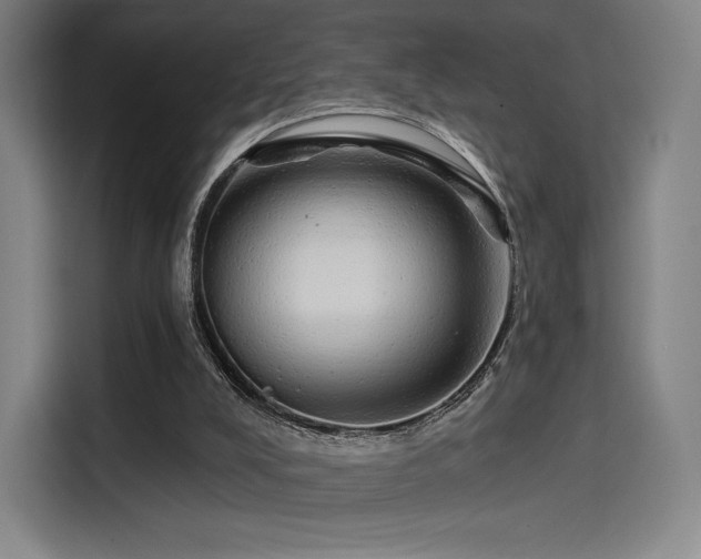 X0000114210008200910161257