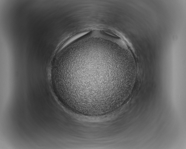 X0000114210010200910161257