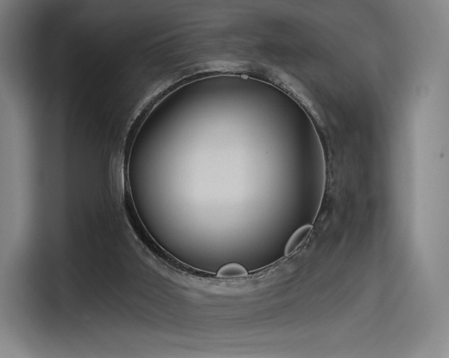 X0000114210011200910161256