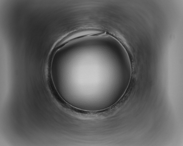 X0000114210012200910161256