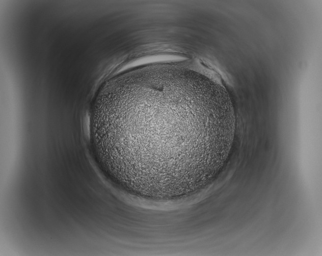 X0000114210014200910161256