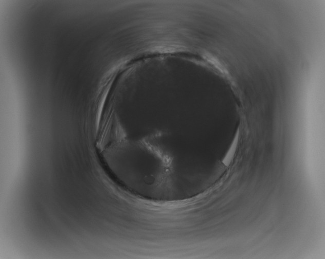 X0000114210019200910161256