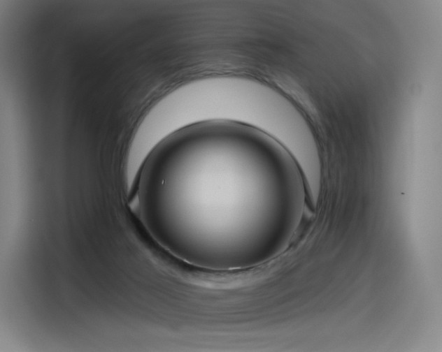 X0000114210021200910161256