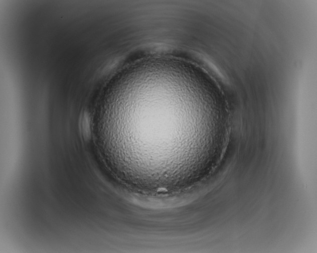X0000114210022200910161256