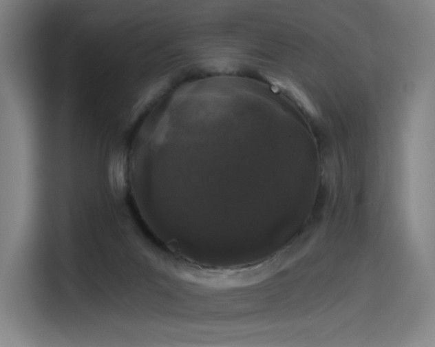 X0000114210023200910161256
