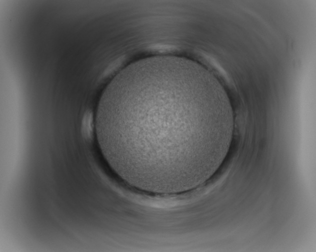 X0000114210024200910161256