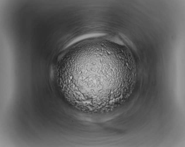 X0000114210026200910161256