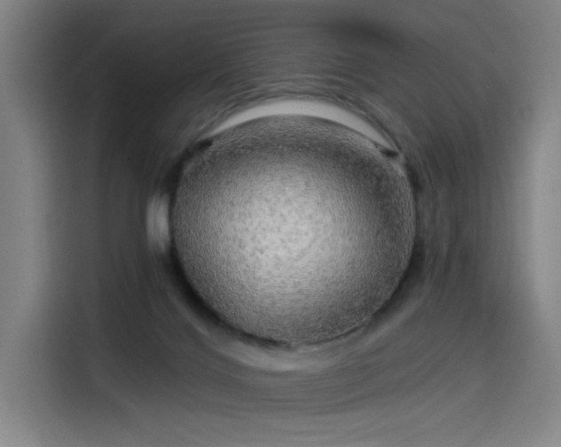 X0000114210028200910161256