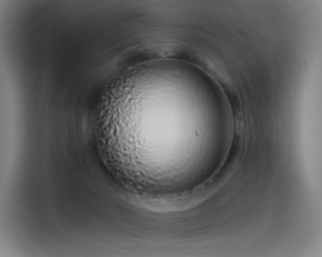 X0000114210030200910161256