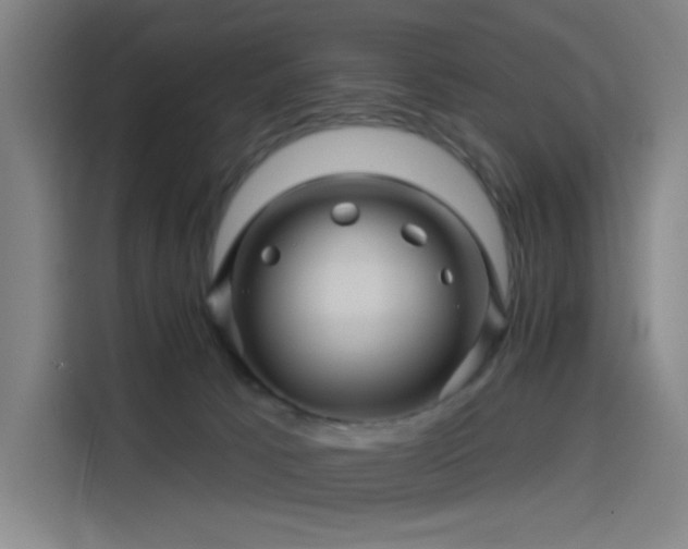 X0000114210033200910161256