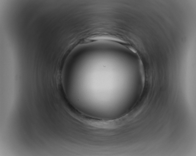 X0000114210036200910161256