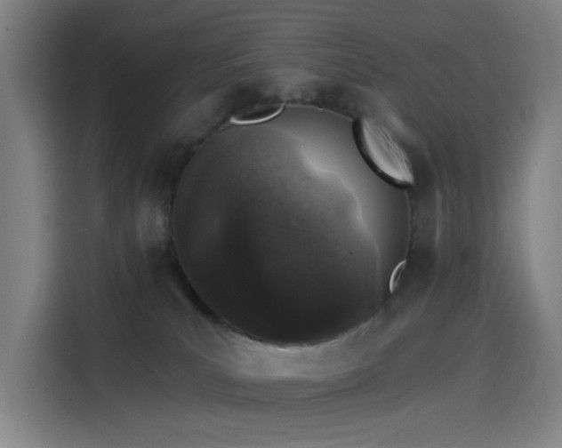 X0000114210039200910161256