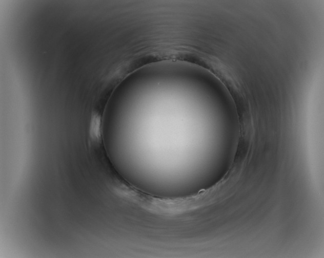 X0000114210041200910161256