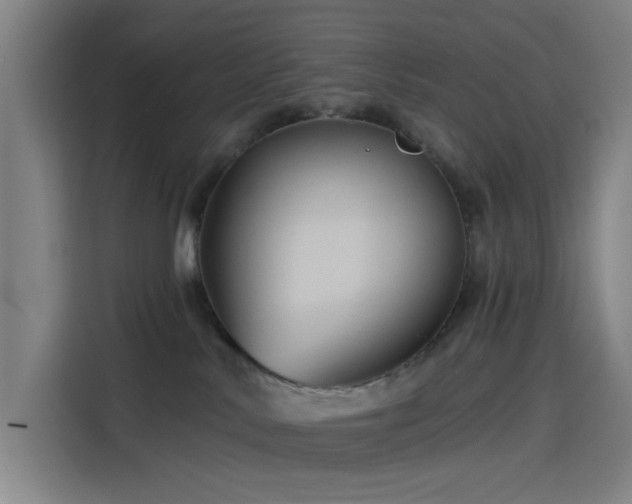 X0000114210042200910161256