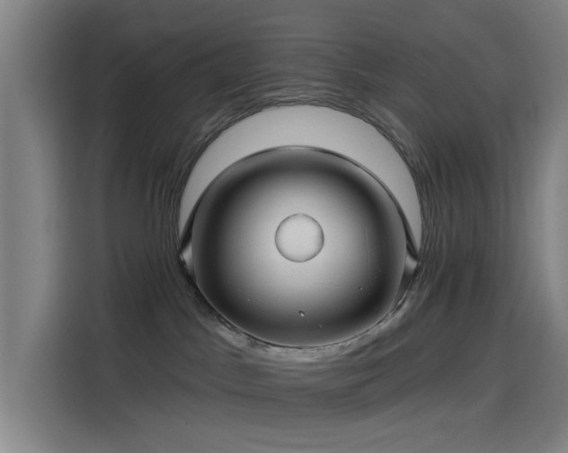X0000114210045200910161256