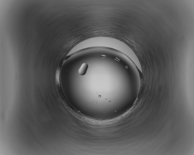 X0000114210047200910161256