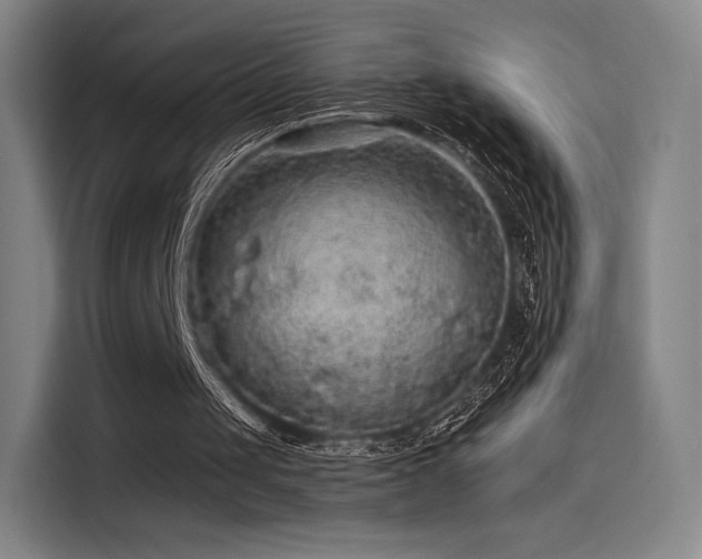 X0000114210049200910161255