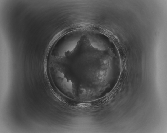 X0000114210051200910161255