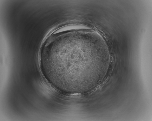 X0000114210053200910161255